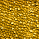 Imagen para el artículo titulado El mundo visto bajo el microscopio parece ciencia-ficción